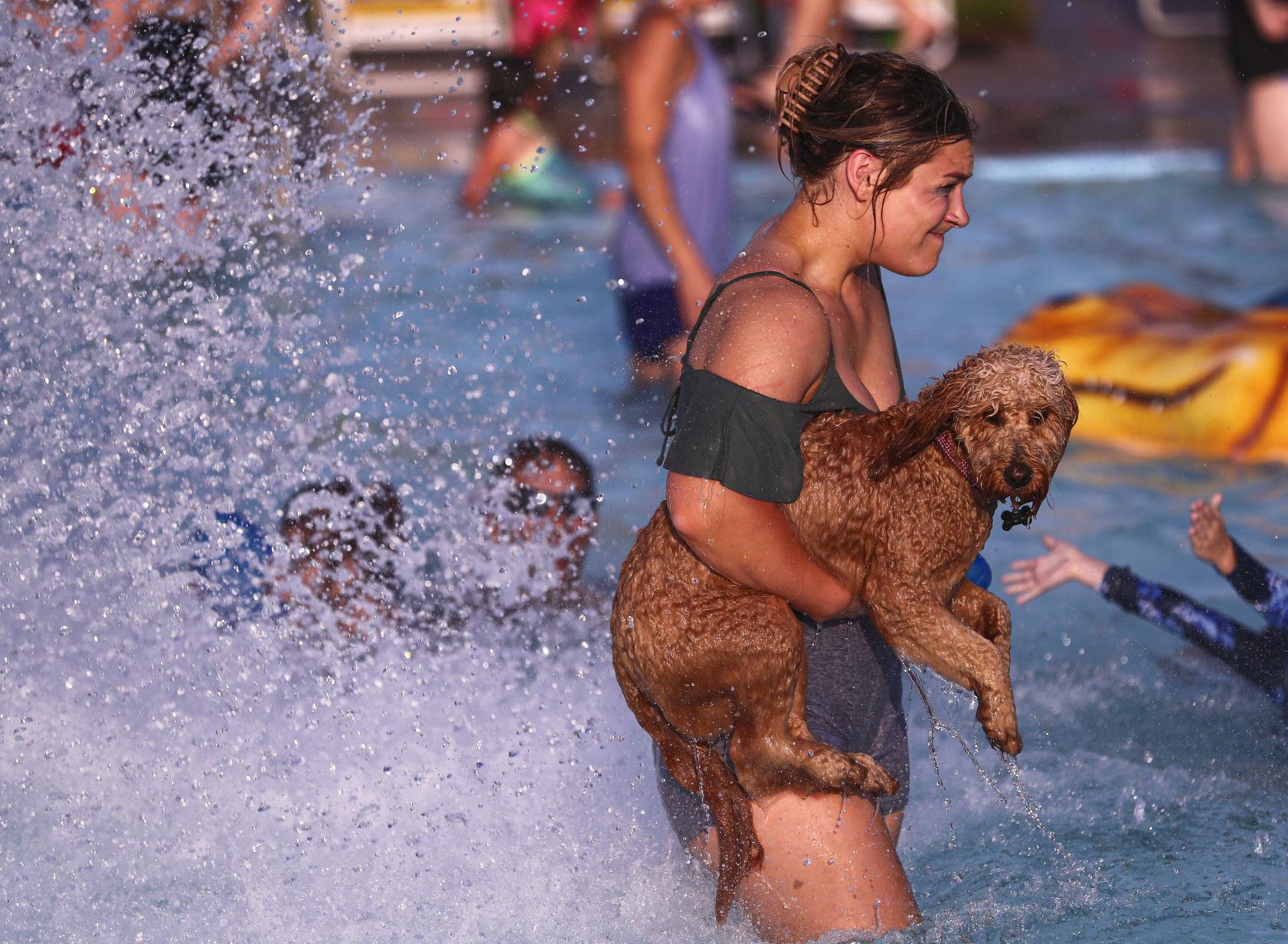Doggie Dip 1